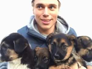 gus-kenworthy-dogs-07052016-640x480