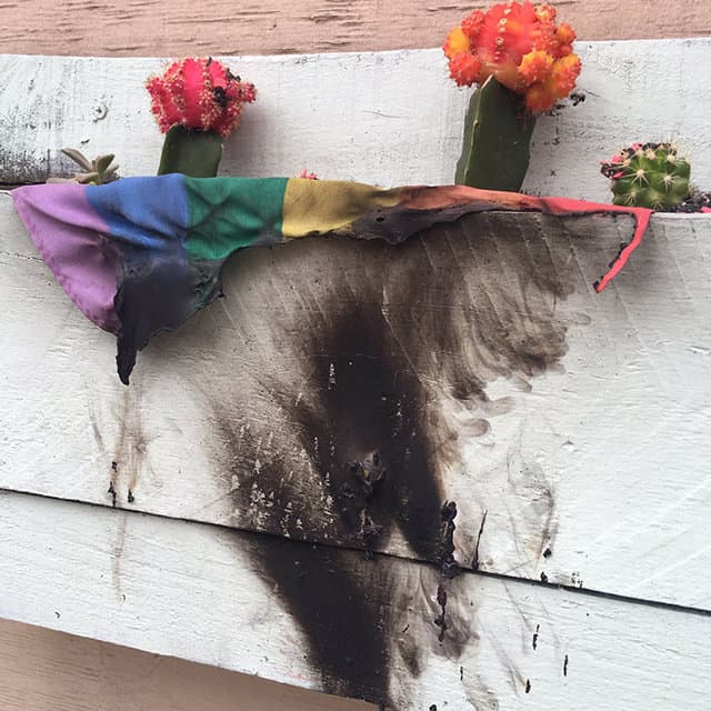 gay pride flag burned