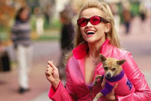 Streaming movies this month include Legally Blonde