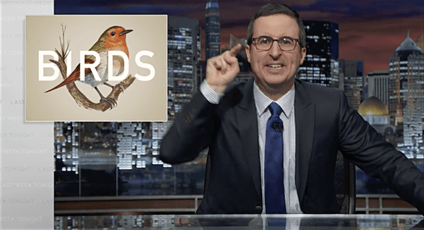 john oliver birds