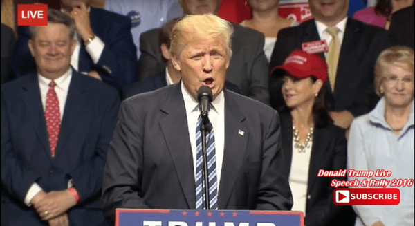 gay donald trump sailors