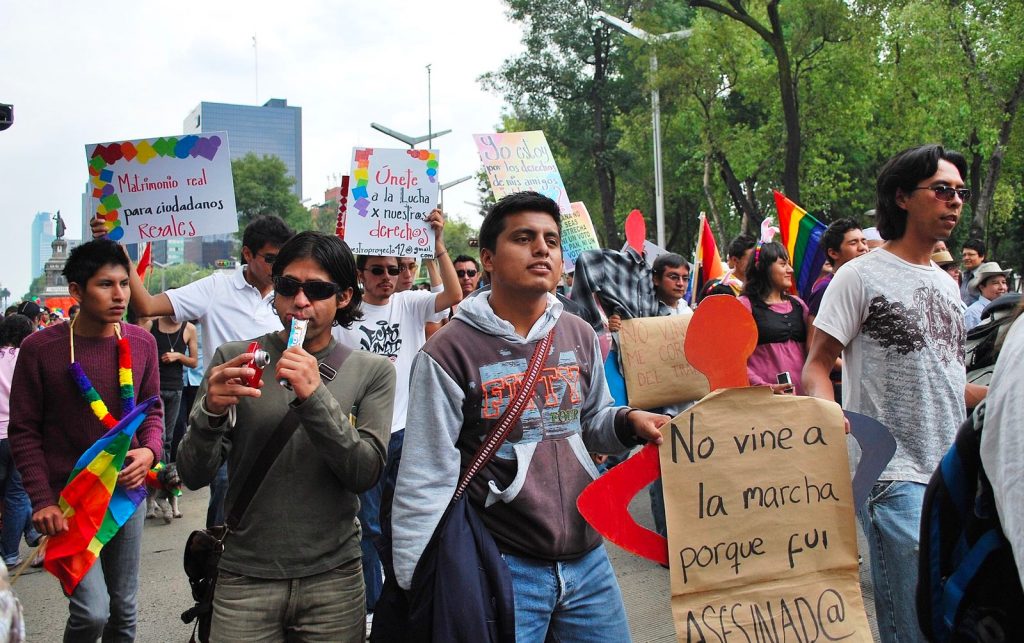 Protesters for gay marriage at the 2009 Marcha Gay in Mexico City gay marriage mexico