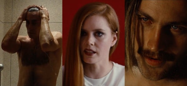 nocturnal animals