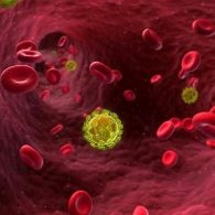 hiv_virus_in_the_bloodstream_alamy-large_transpjliwavx4cowfcaekesb3kvxit-lggwcwqwla_rxju8