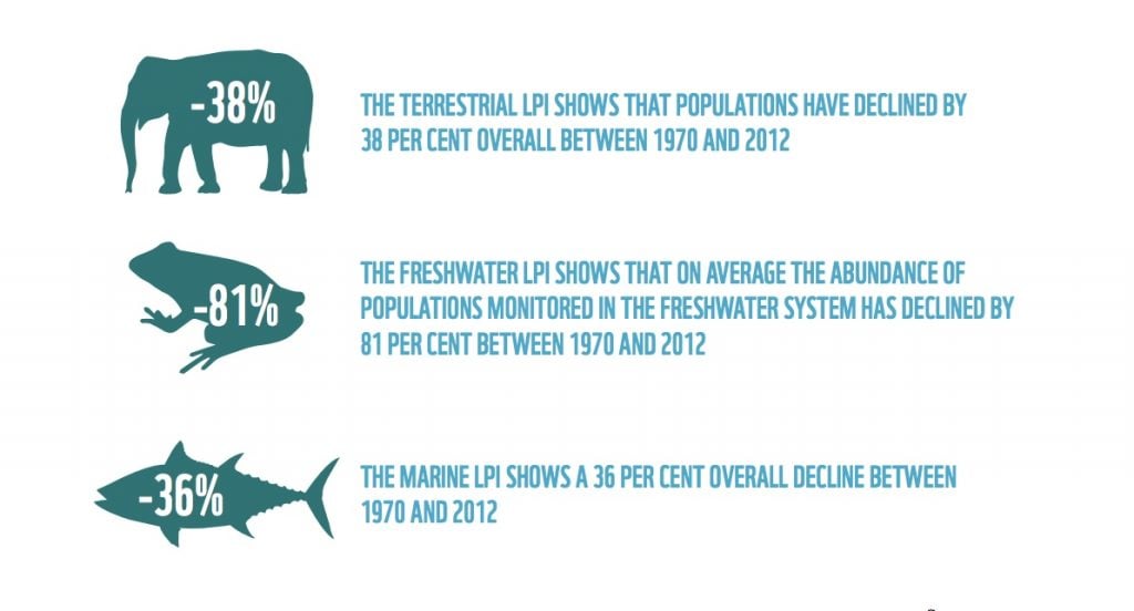 wildlife chart