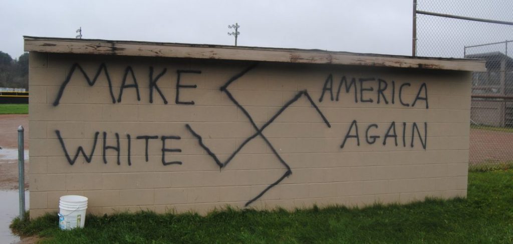 make-america-white-again