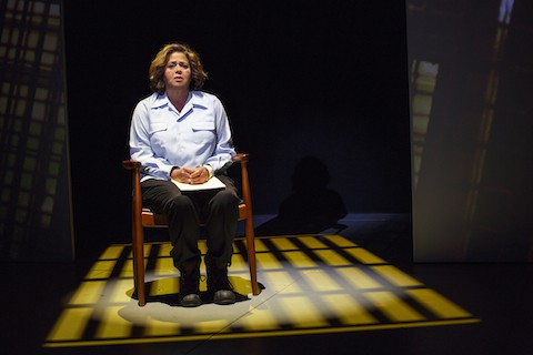 Anna Deavere Smith in "Notes from the Field"