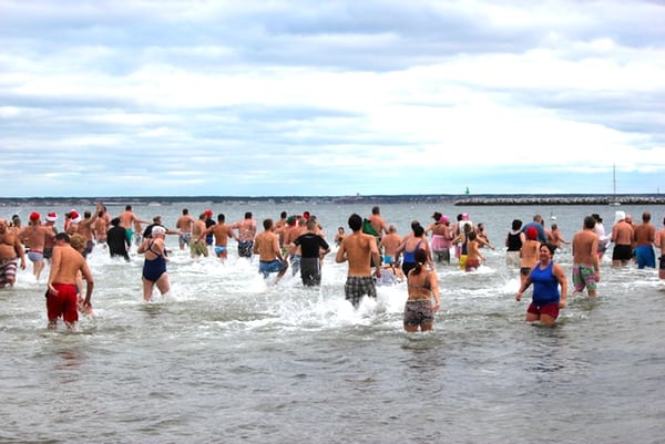 Polar Bear Plunge