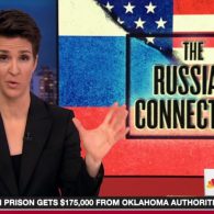 Wikileaks Rachel Maddow