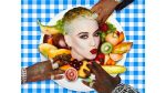 Katy Perry bon appetit homophobic