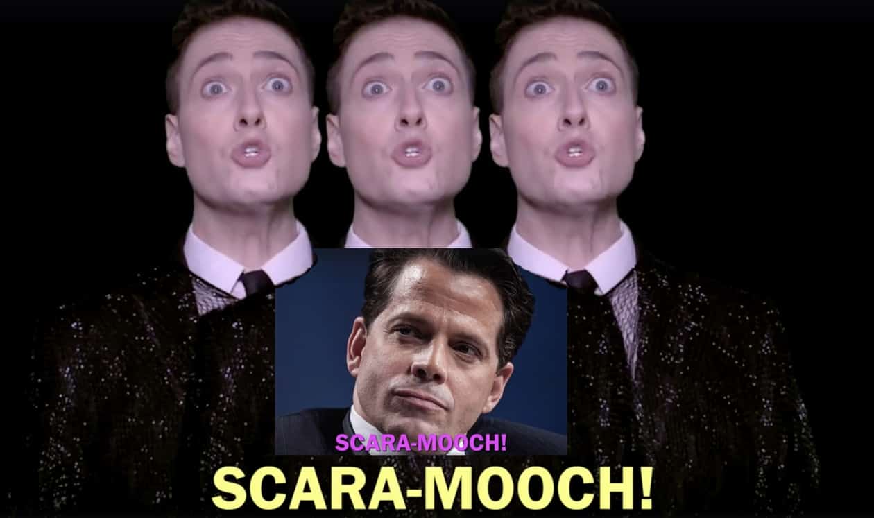 Randy Rainbow Scaramucci