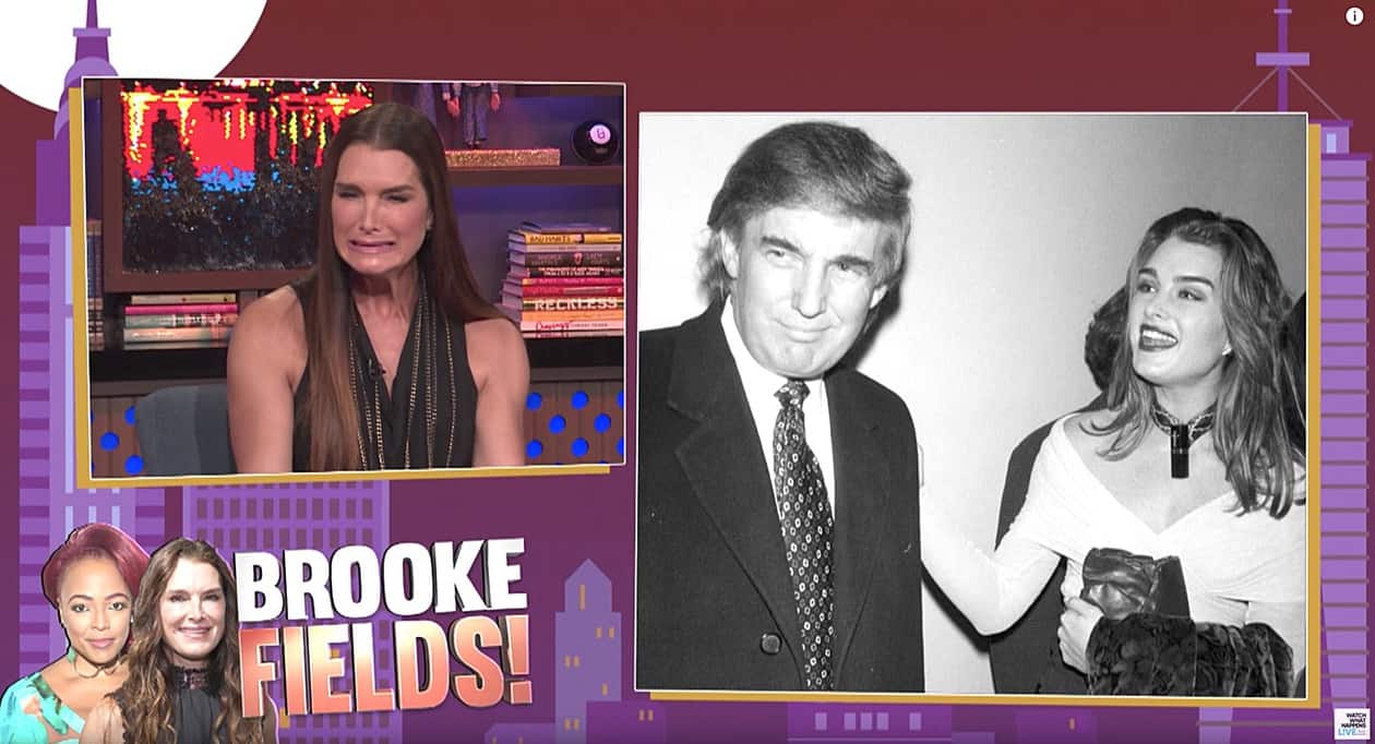 brooke shields donald trump