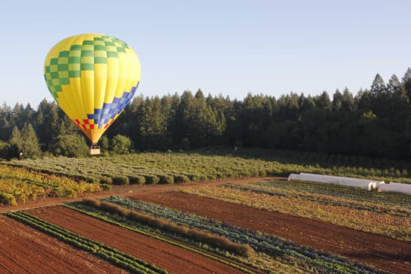 Sonoma