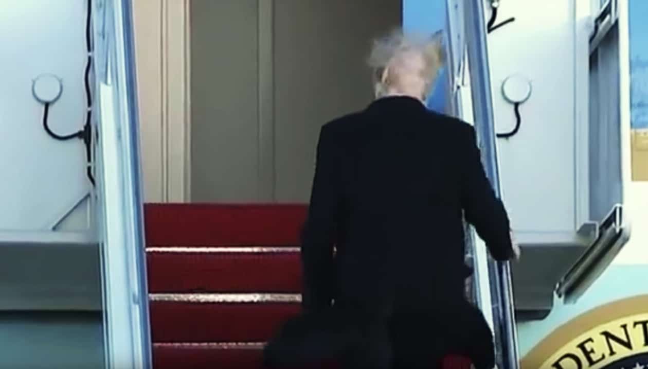 trumps hair