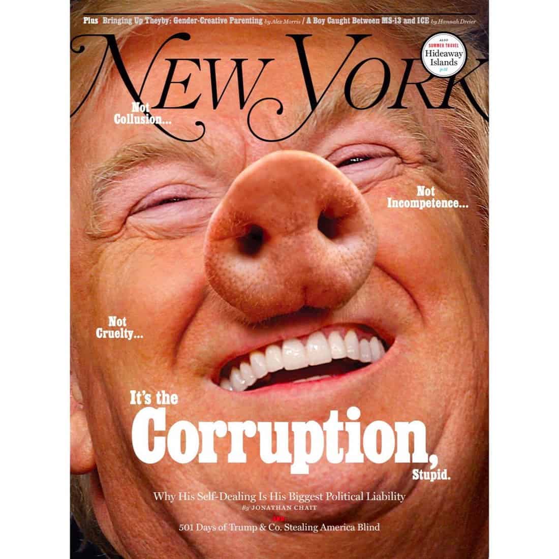 pig trump