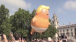 trump baby blimp