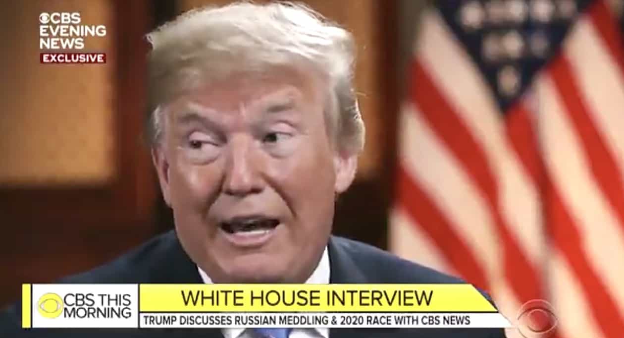 Trump Biden