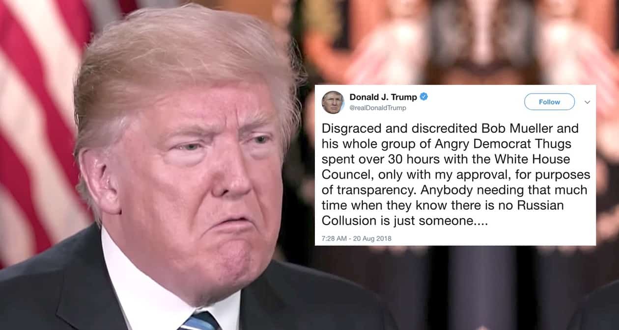 Trump thugs
