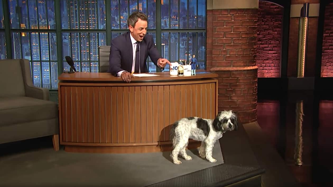 seth meyers dog