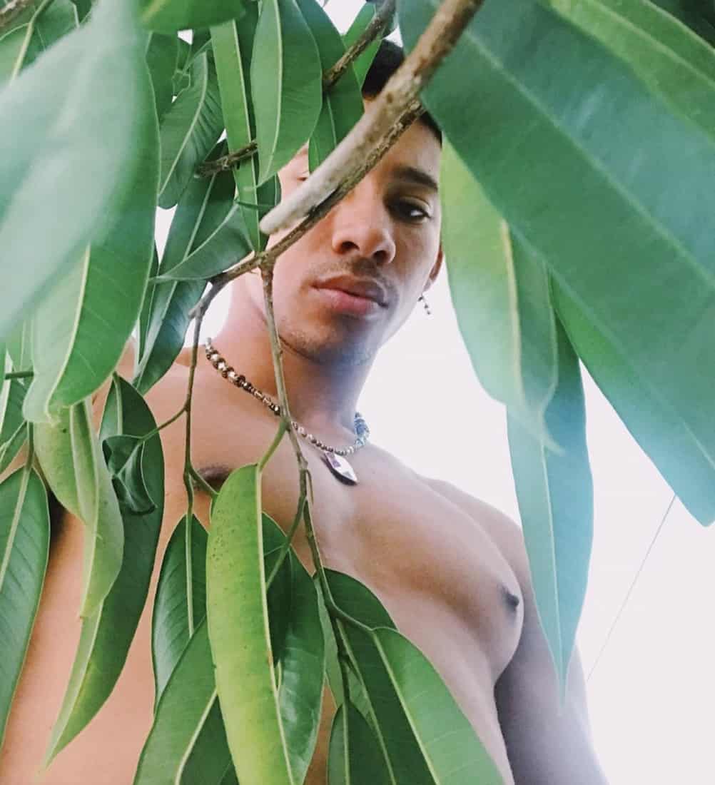 keiynan lonsdale tree