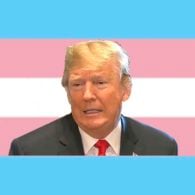 trump transgender people