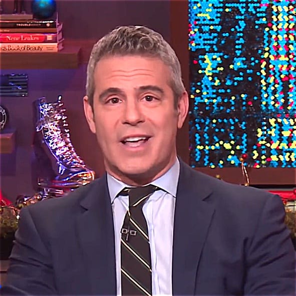 Andy Cohen baby