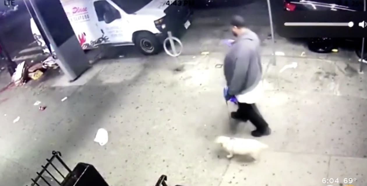 Gay NYC Man Tragically Killed By Stray Bullet The Morning After ...