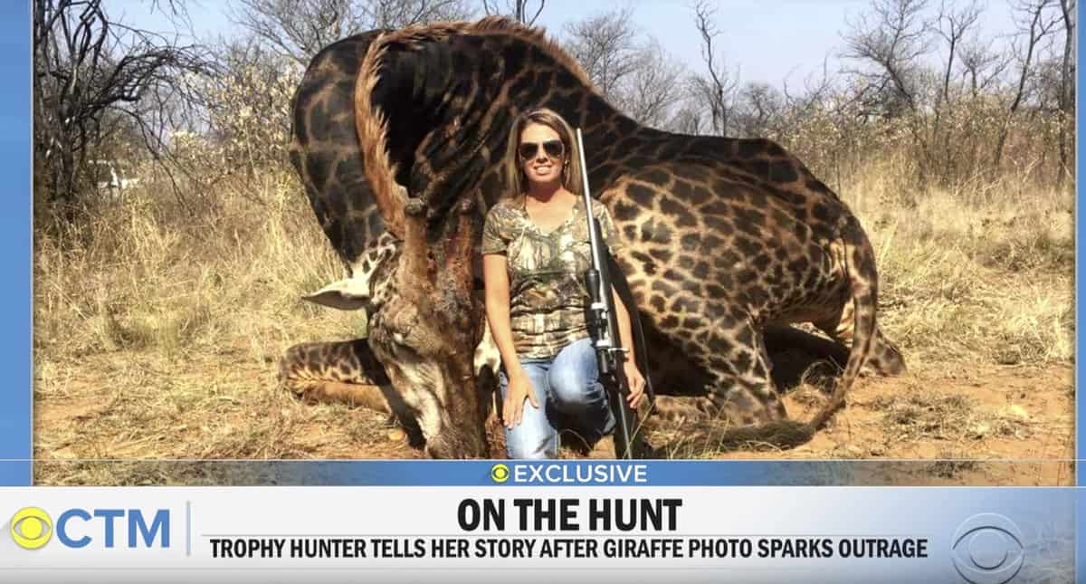 Tess Talley game trophy hunter