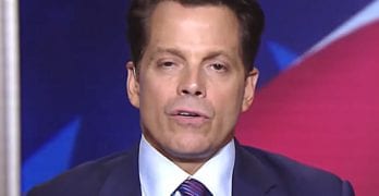 Scaramucci trump