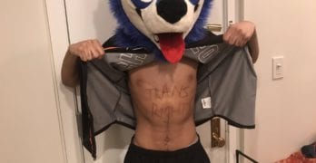 Cominique sonicfox mclean twitter