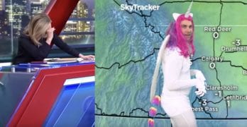 meteorologist unicorn