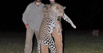 Donald Trump Jr Eric Trump leopard