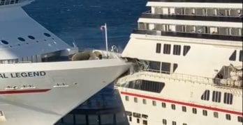 cruise ship collision