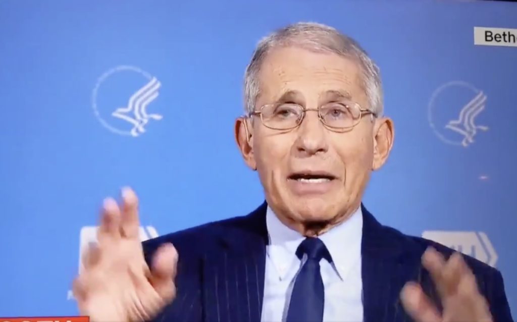 anthony fauci