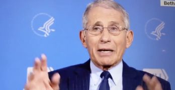 anthony fauci