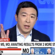 Andrew Yang Joe Biden