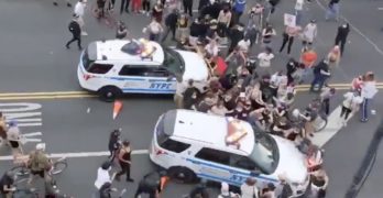 nypd protests