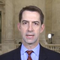 tom cotton