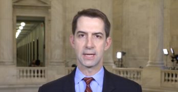 tom cotton