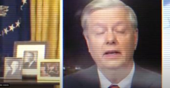 parasite lindsay graham