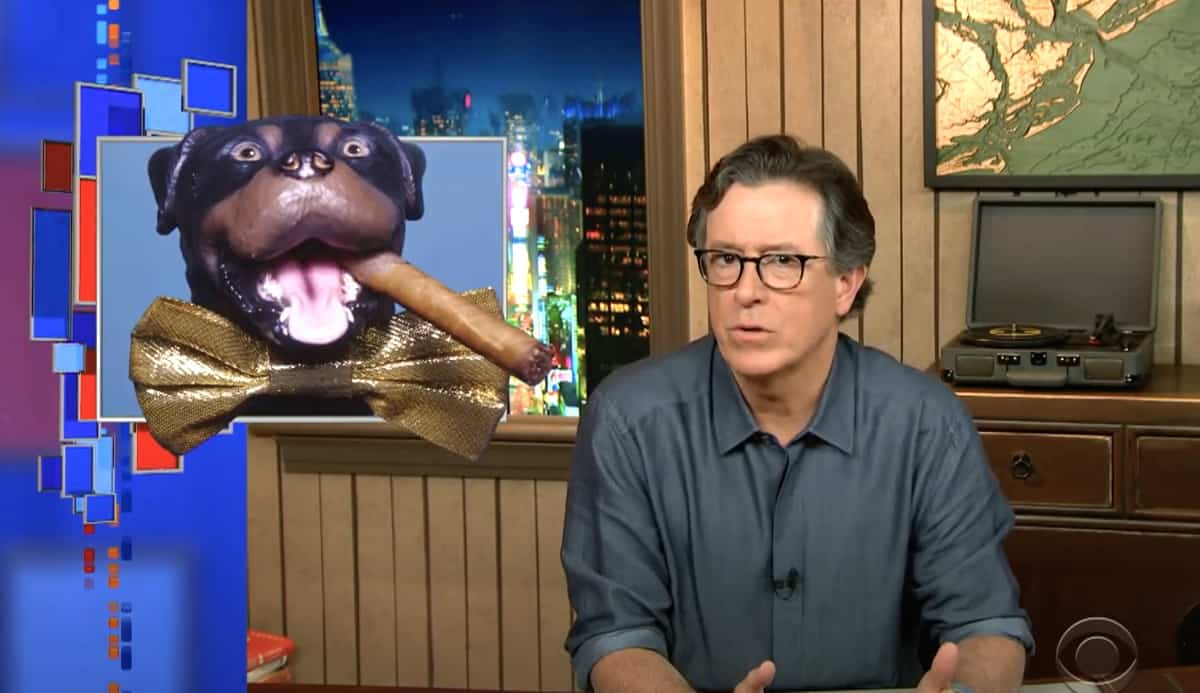 'Triumph The Insult Comic Dog' Asks Trump Voters To Comment On Some