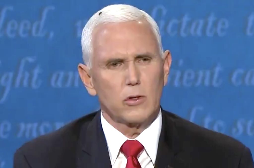 Pence fly