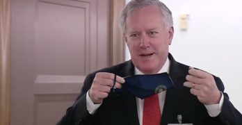 Mark Meadows mask