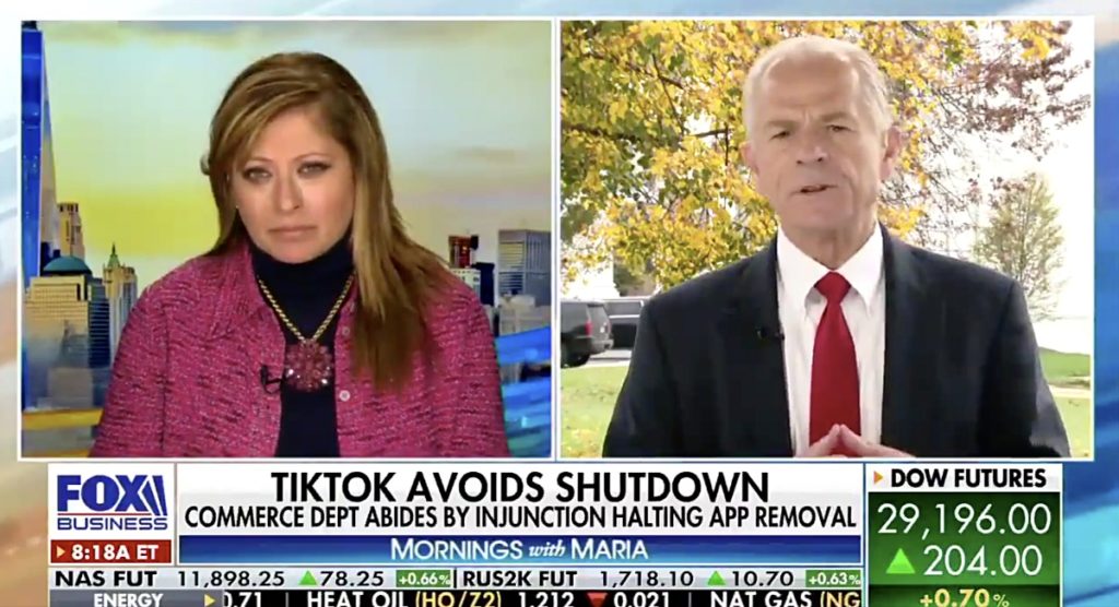 Peter Navarro immaculate deception