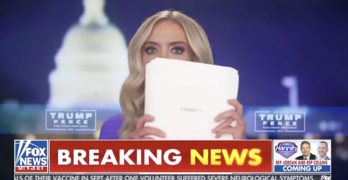 Kayleigh McEnany papers