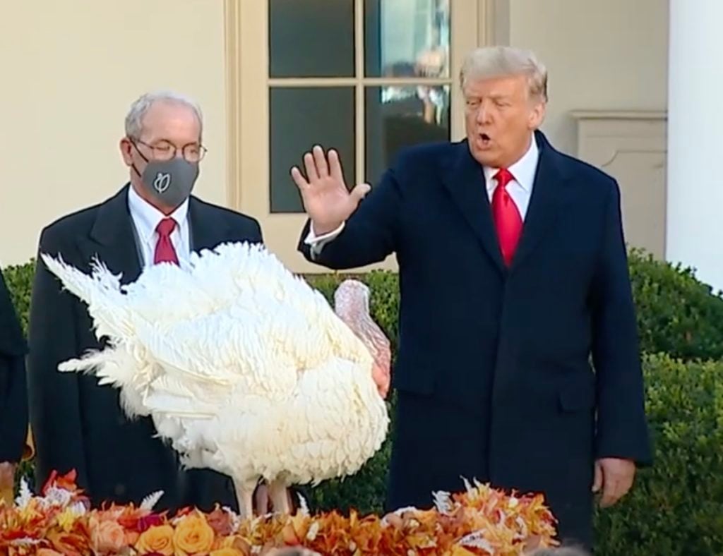 Trump pardon