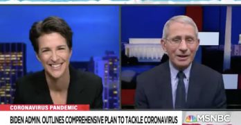 Rachel Maddow Anthony Fauci