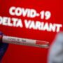 Explainer – Beyond Delta, scientists are watching new coronavirus variants