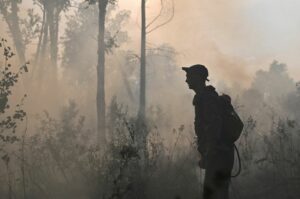 From Siberia to the U.S, wildfires broke emissions records this year 24 470057 origin 1