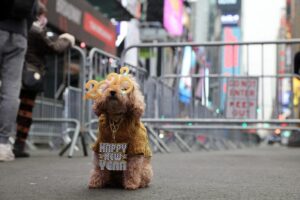 Some cautious, many fed up, Americans prepare to ring in the New Year 16 472848 origin 1